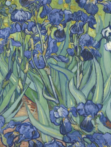 DMP | Notizbuch DIN A4 kariert: Schwertlilien - [Irises - van Gogh] Hardcover
