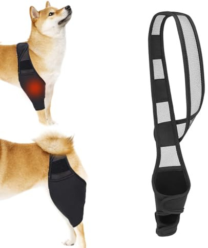 EIHI Kniebandage Hund Hinterbein für das Linke Bein - Hergestellt aus Neopren,für Kreuzbandriss,Bänderverletzungen,Patellaluxation oder Osteoarthritis - Größe L