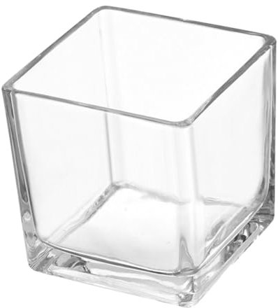 BCOATH Vase Terrarium Carré 11,5 Cm en Verre Transparent, Jardinière Hydroponique Cubique, Vase Moderne pour Plantes D'intérieur, Bureau et Décoration Intérieure, Grand Modèle Socle