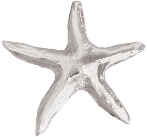 CREATCABIN Broche Étoile de Mer pour Femme Épingle à Revers en Acier Inoxydable Plaqué Argent Breloque Tendance pour Robe Costume Vêtements Accessoires Cadeau d'anniversaire de Plage de Fête 6x5cm