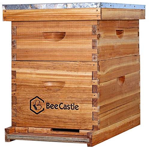 BeeCastle 10-Frames Complete Beehive Kit, 100% Beeswax Coated Bee Hive Includes Beehive Frames and Beeswax Coated Foundation Sheet (2 Layer)