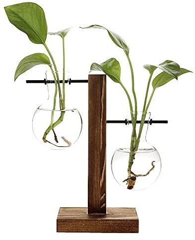 Qanye Desktop Hydroponik Glasvase, Hydrokultur Pflanzen Vase, Deko Holz Halter mit Hydroponik, Pflanzenhalter Hydroponische Glasvase, für Schlafzimmer, Wohnzimmer und Bürodekoration