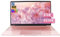 Celeron J4125 Ordinateur portable ultra fin 14 en or rose, 8 Go DDR4, SSD 512 Go, écran FHD IPS, ordinateur portable léger, charnière à 180°, USB3.0, Wi-Fi, Bluetooth, pour étude et travail (512 Go)