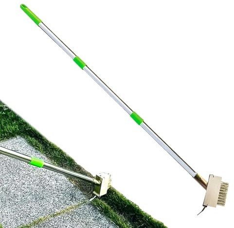 Gräs-poller, moss-borttagare, långt handtag, gräsmatta, skrubbborste | Heavy Duty kolumn, skrapa, ogräs, verktyg, trädgårdssjukare för gräsmatta terrass, trädgård