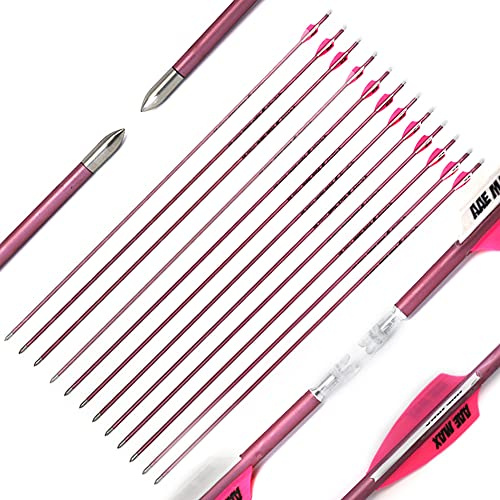 ACCMOS 23-31 Zoll Bogenschießen Pfeil aus Reinem Carbon Spine 500 600 700 800 900 1000 ID 4,2 mm Rosa Weiße Feder Pfeile für Compoundbogen Recurvebogen Jagd 12 St