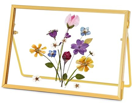 REDHUGO Glasrahmen für gepresste Blumen, handgefertigt, schwebender Glasbilderrahmen, Tischrahmen aus Messing, Fotorahmen für DIY-Projekte mit getrockneten Blumen und Pflanzenspezimen, rechteckig