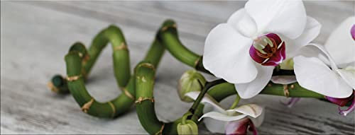 artissimo Bild aus Glas 80x30 cm Orchidee AG4770A – Blumen Wandbild mit Bambus Spa Zen Motiv, Panorama Glasbild Querformat, moderne Wanddeko