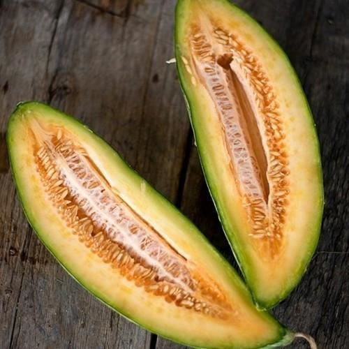 25 + semi banane semi di melone (Cucumis melo)