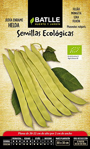 Semillas Batlle 670503G500