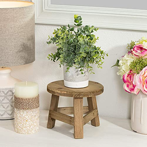 Monozoz Wooden Stool Display Stand, Round Stool, Vintage Wood Grain Plant Holder For Flower Pots, Decorative For Indoor Outdoor Home Patio