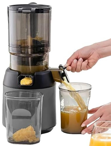 ZHIXUMM Cold Press Juicer, Compact Slow Masticating Juicer Machines With 5-Inch Large Feed Chute, Portable Pomace Separation Juicer Fruit Juicer, For Fruits Vegetables,Grey