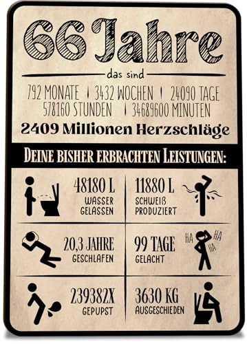 Geschenke zum 66. Geburtstag Karte Statistik 66 Geburtstag Holzkarte - Geburtstagskarte mit Umschlag - originelle Statistik-Grußkarte zum 66. Ehrentag, besondere Überraschung für die Feier