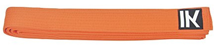 IKKEN Karate Judo Taekwondo Belts Colours | Plain & Striped (Orange, 240cm)