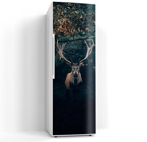 DEQORI Magnetfolie für Kühlschrank 60x180 cm | Motiv Elch im Teutoburger Wald | dekorative Magnetmatte Gefrierschrank Schutz | Magnet Deko-Folie selbstklebend, magnetisch & wasserabweisend