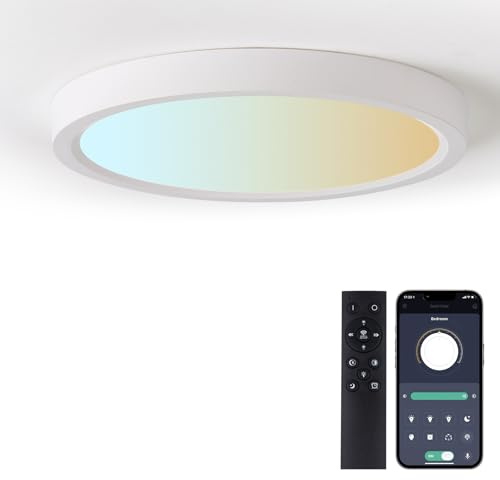 queffigle 23cm LED Deckenleuchte 24W 2664LM dimmbar 3000-6500K mit Fernbedienung moderne Einbauleuchte Deckenlampe IP44 wasserdicht für Schlafzimmer, Wohnzimmer, Küche