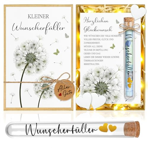 Wunscherfüller Geldgeschenk, Geldgeschenke Verpackung Geschenkbox mit LED Lichterkette, Geburtstagsgeschenk für Frauen, Geschenk für Mädchen Junge Konfirmation Kommunion Jugendweihe Geburtstag
