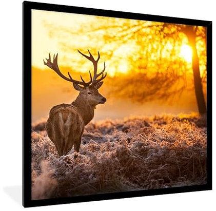 MuchoWow Poster Bilder Wanddeko Deko Wohnzimmer 40x40 cm Hirsche - Tiere - Sonnenuntergang - Winter - Heidekraut - Natur