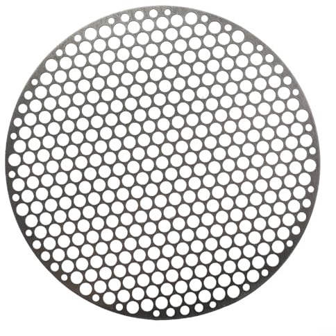 Grille de barbecue ronde en acier inoxydable pour cuisson à la vapeur, four, poêle, disque de rôtissage (26 cm)