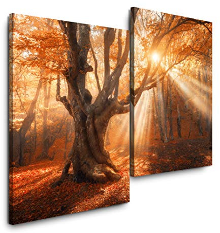 Sinus Art Magischer Alter Baum 120x80cm 2 Kunstdrucke je 70x60cm Kunstdruck modern Wandbilder XXL Wanddekoration Design Wand Bild