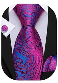 Barry.Wang Mens Paisley Tie Silk Purple Blue Ties Pocket Square Cufflinks Necktie Set Handkerchief Wedding Party