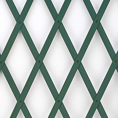TENAX Treplas 1,00x3 m Verde, Enrejado Extensible en PVC para la Sujeción de Plantas Trepadoras y Decorar Paredes, Balcones y Terrazas
