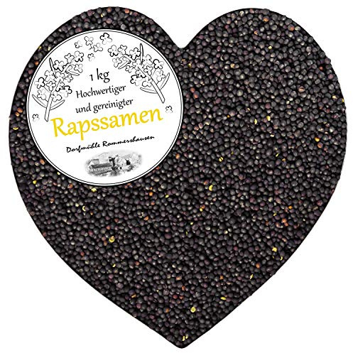 Petigi Raps Gereinigt Rapssamen 1 kg Therapie Rapssaat für Rapskissen Kissen Wärmekissen Kältekissen Samen Lose Rheuma Mikrowelle Wellness Rapsbad