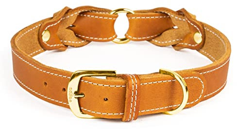 CopcoPet Hundehalsband Heidi 40 – 45 cm x 20mm Cognac – Aus weichem Leder mit Ziernaht & Messing Beschlägen – Robust, stilvoll & verstellbar – Für mittelgroße Hunde, Spaziergang & Alltag
