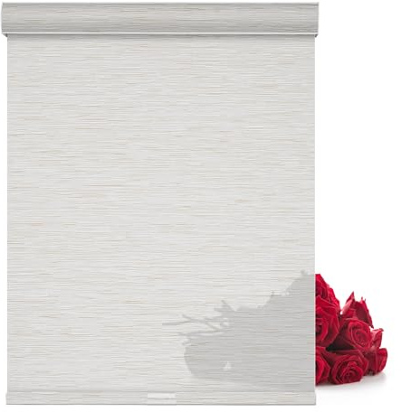 Sulugood Roller Shades for Windows,Light Filtering Roller Blinds with Cassette Valance,Window Blinds,Jacquard Thermal Insulation Energy Saving Cordless Shades for Home Door,Beige,24 W x 84 H