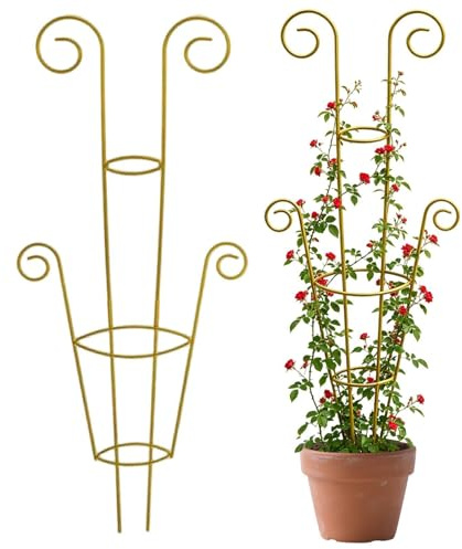 Tutor Para Plantas De Interior Soporte De Metal Para Plantas Trepadoras