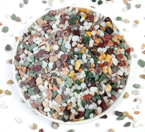 YISZM Piedras de grava para suculentas y cactus, piedras pulidas decorativas naturales de 1/5 pulgadas, rocas de río para jarrones, jardinería, interior y exterior, coloridas