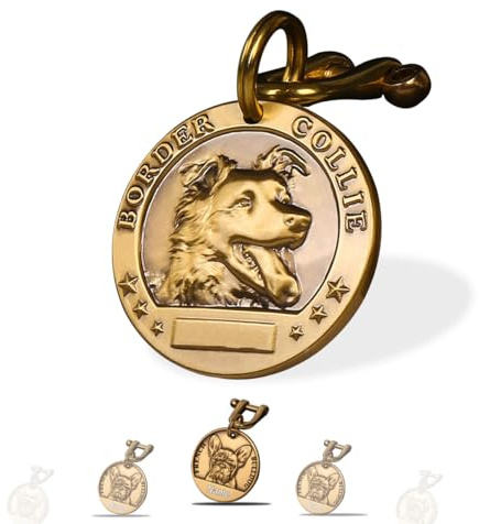 Xiniear Medaille Chien avec Gravure, Médaille Chien gravée personnalisée en laiton, Avec Prénom Adresse Tel Gravés (Border Collie)
