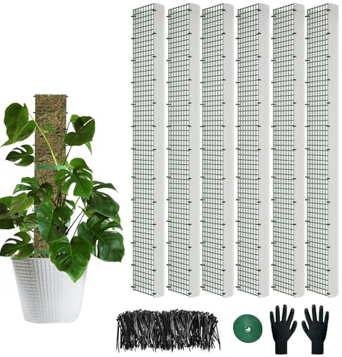 D Shape Metal Moss Pole for Climbing Plants Indoor Monstera Sphagnum Pole Kit (6pcs 40inch)