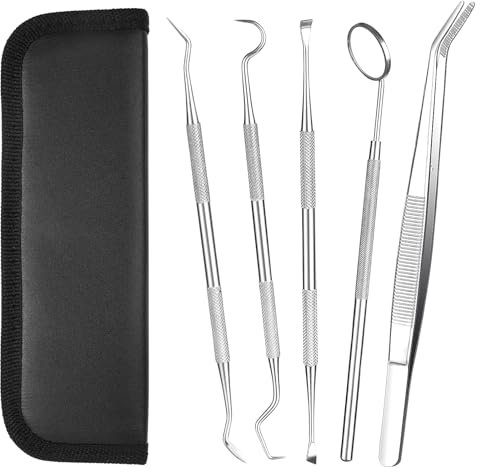 AOOWU 5 PCS Juego de Cuidado Dental, Dientes Limpieza Herramienta de Acero Inoxidable, Removedor de Sarro, Equipo de Cuidado Dental para Hombres Mujeres Niños y Mascota Cuidado
