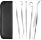 AOOWU 5 PCS Juego de Cuidado Dental, Dientes Limpieza Herramienta de Acero Inoxidable, Removedor de Sarro, Equipo de Cuidado Dental para Hombres Mujeres Niños y Mascota Cuidado