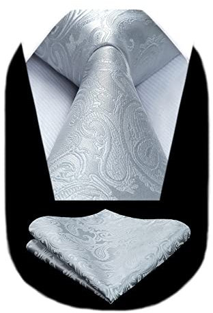 HISDERN Herren Krawatte Grau Paisley Hochzeit Krawatte mit Einstecktuch Set Blumen Jacquard Schlips Hellgrau Einfarbig