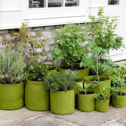 Suttons Vigoroot Planters (3 Pack) - 20 Litre, Grow Your own Veg and Fruit, Gardening Equipment, Veg Growing Equipment, Planters, Containers