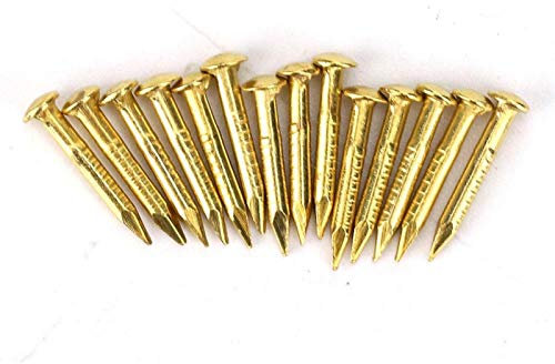 Chiodi Ottone, 100 Pezzi Chiodi Ottone Testa Tonda, Perni Parete 10mm 15mm 18mm 22mm Opzionale, Chiodi Testa Ottone, Puntine in Ottone Per Mobili Per Legno, Accessori Hardware, 10mm