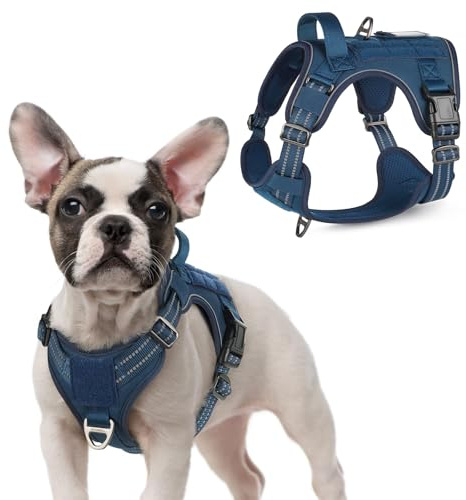 rabbitgoo Hundsele små hundar, anti-dragsele hund justerbar med handtag breddad, robust och slitstark, taktisk hundsele med metallspännen för vandring (S, blå)