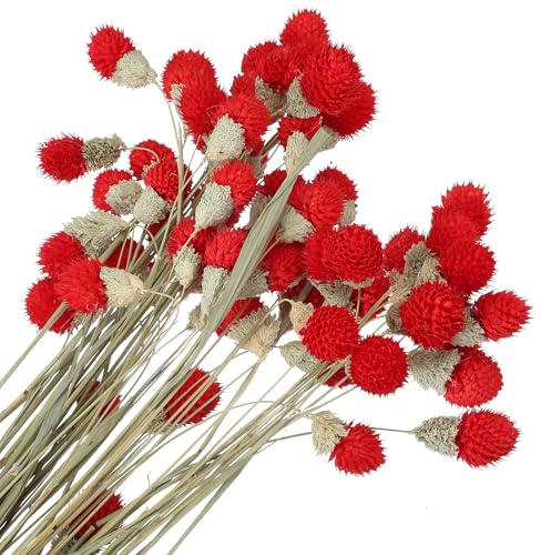 PATIKIL 16 Inch Dried Flowers for Vase, 60 Pcs Mini Pine Ball Flowers Natural Bouquet Bulk Fall Dried Pine Ball Naturally for Home Wedding Bridal Decor Party, Red