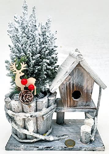 POWERS TO FLOWERS - ALBERO DI NATALE, PINETTO NATALIZIO, PINO CON NEVE IN CASETTE DI LEGNO, diametro, pianta vera