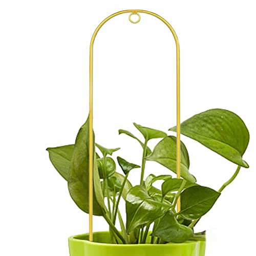 Griglia per piante da appartamento | Griglia dorata a cupola per piante rampicanti, griglia per piante rampicanti, griglia dorata con agata per viti Pothos, edera, filodendro, decorazione da