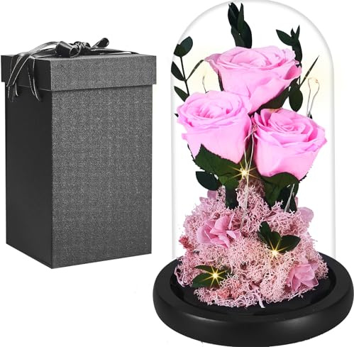 Rewjury Echte Ewige Rose im Glas Kuppel, Frauen Geschenk Geburtstag, Die Schöne Und Das Biest Konservierte Rosen Blumen, Mama Freundin Ehefrau Oma Geschenk