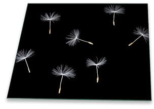 decorwelt | Herdabdeckplatte 60x52 cm Ceranfeldabdeckung 1-Teilig Universal Elektroherd Induktion für Kochplatten Herdschutz Deko Schneidebrett Sicherheitsglas Spritzschutz Glas Pusteblume