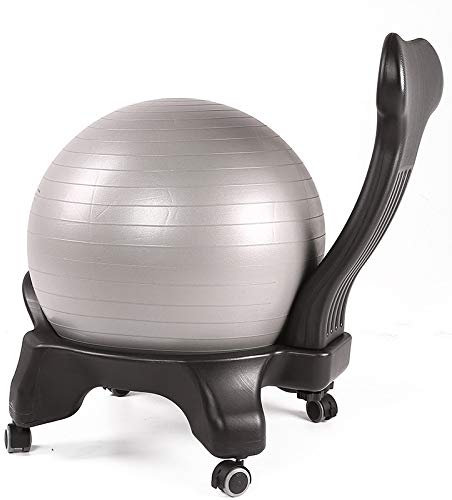 FLY FLU Balance Ball Chair - Erwachsene Übungsstabilität Yoga Ball Premium Ergonomischer Stuhl - Für Zuhause Und Büro Schreibtisch Mit Luftpumpe,Grey