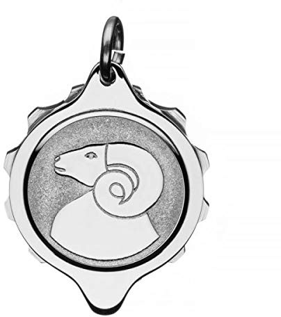 SOS Talisman Anhänger Edelstahl, Sternzeichen, Notfallkapsel für wichtige medizinische Informationen (Widder)
