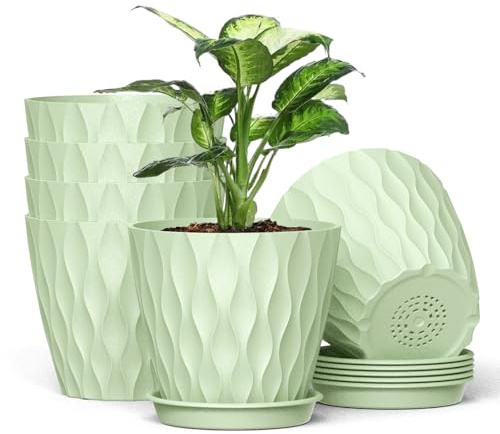 12.5cm Plant Pots, 6 Pack Plastic Flower Pots with Drainage Holes and Saucers, Indoor Outdoor Planters for Succulent and All House Plants(Light Green)