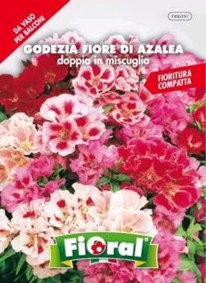 Sementi da fiore di qualità in bustina per uso amatoriale (GODEZIA FIORE DI AZALEA DOPPIA IN MISCUGLIO)