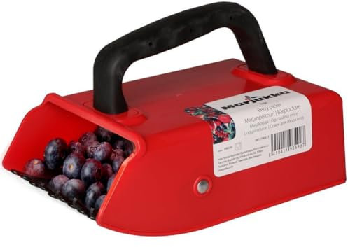 BAKAJI Raccoglitore Manuale Bacche, Ideale per Raccolta Frutti di Bosco, More, Mirto, Piccoli Frutti da Giardino, Cestello Coglifrutta, 14 x 22 x 14 cm