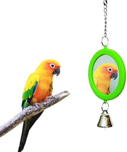 Symphonyw Vogelspiegel mit Glocke, Hanging Swing Wellensittich Interaktives Spielzeug für Sittich Nymphensittiche Kanarienvögel Wellensittich Käfig Zubehör (Grün)