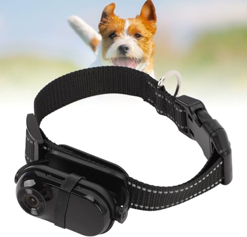 Haustier Kamerahalsband, HD 1080P Haustierkameras Katzenhalsband Action Kamera mit Verstellbarer Halterung, Hundehalsband Kamera für Heimtierbedarf, Kamera für Katzen, Hunde